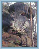 Skaln� v� Slon