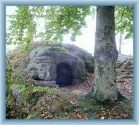 Kav�iny
