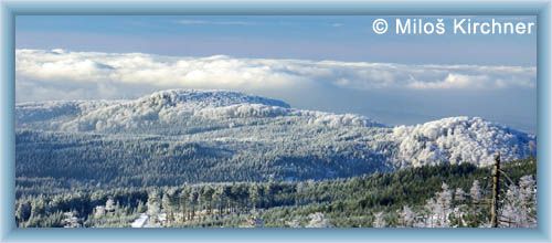 Jizerskohorsk� bu�iny