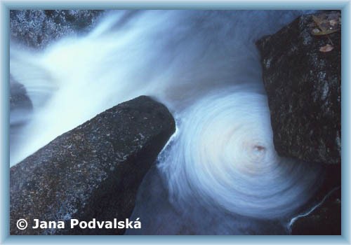 Jedlov�