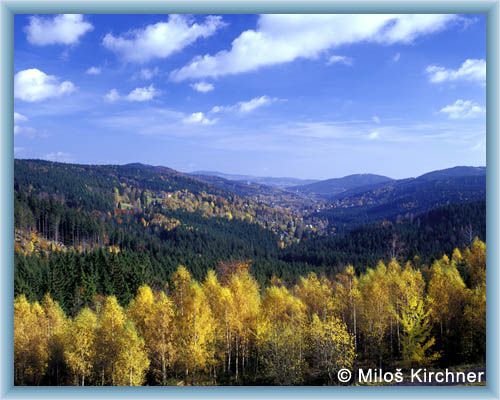 �dol� Kamenice
