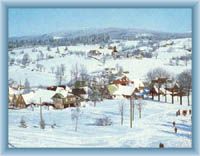 Ko�enov