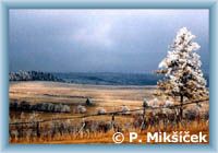 Zimn� vrstvi�ka v Kru�n�ch hor�ch