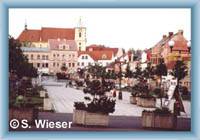 Litv�nov
