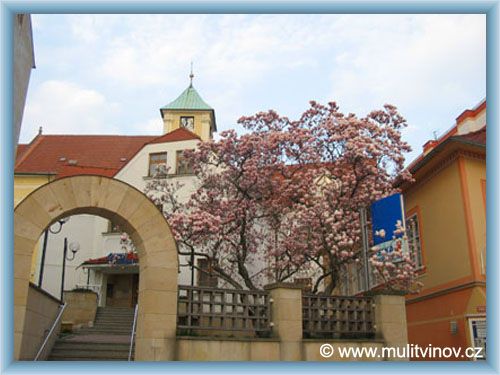 Litv�nov - Mangolie