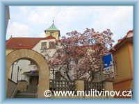 Litv�nov - Mangolie