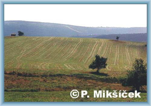 Pohled z Mn�ku
