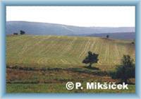 Pohled z Mn�ku