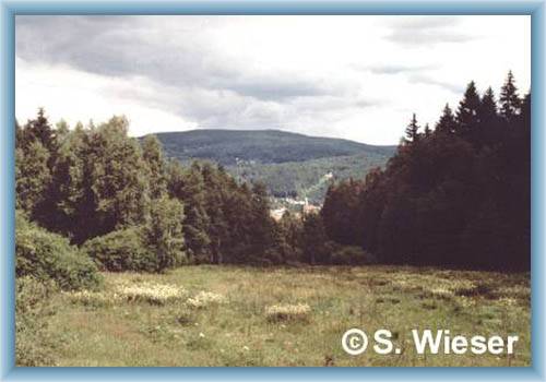 Nejdek s Tisovsk�m vrchem