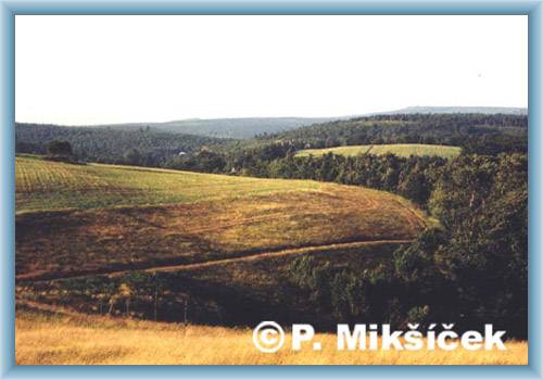 Louky u Nov�ho M�sta v Hor�ch