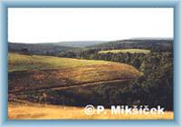 Louky u Nov�ho M�sta v Hor�ch