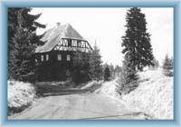 P�ebuz - nyn�