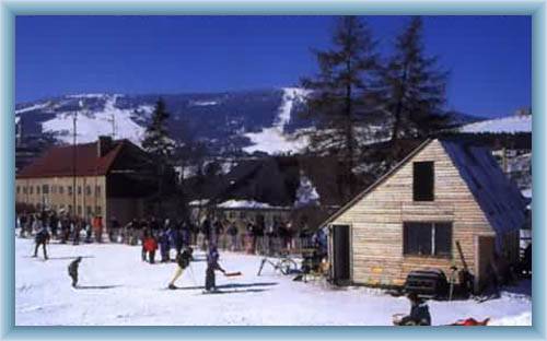Obec Lou�n�
