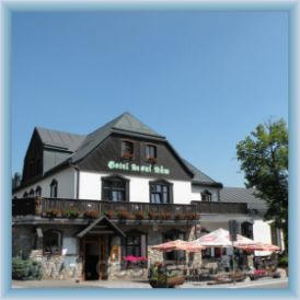 Hotel Lesn� d�m