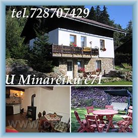 Turistick� chata Ludv�kov