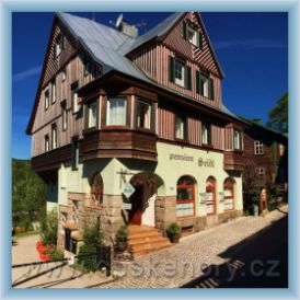 Horsk� pension Seidl***