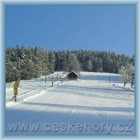 Ski are�l Zlatn�k - Biocel