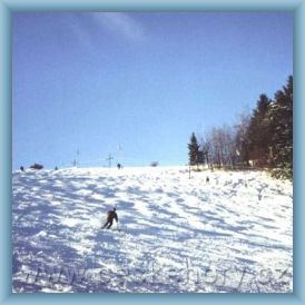 Ski are�l Dale��n