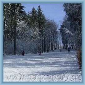 Ski are�l K�eme�n�k