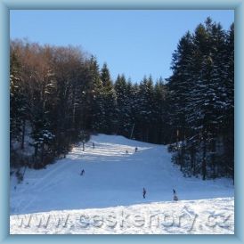 Ski Are�l Me�ov�