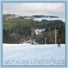 Ski are�l Nedv�dice