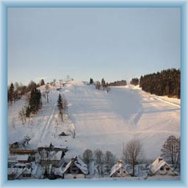 Skiare�l Brann�
