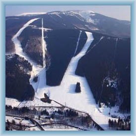 Skiare�l Kouty