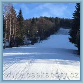 Ski are�l Ludv�kov