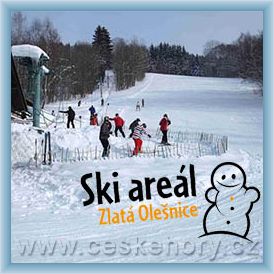 SKI&SNB are�l SURFANIC Zlat� Ole�nice