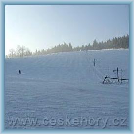 Ski are�l Zlatn�k - Fela