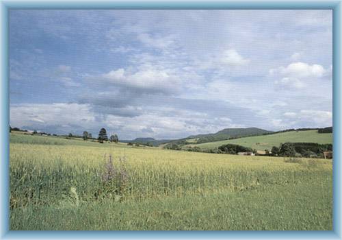 Krajina u Machova