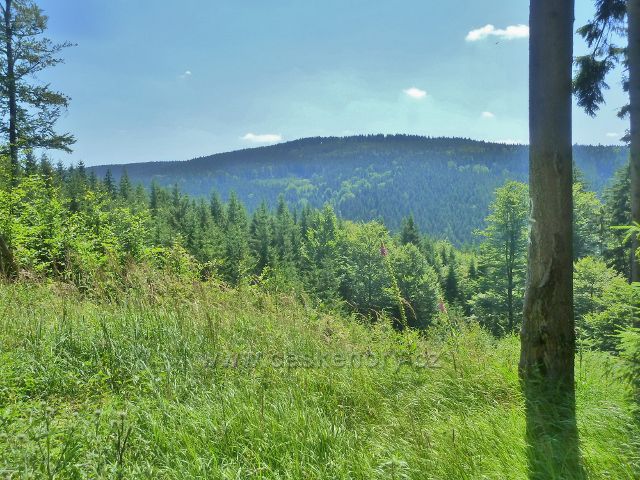 Mladkov - pohled z vrstevnicové cesty k vrchu Bouda (845 m.n.m.)