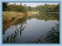 Koupaliště Sedmihorky