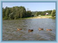 Koupaliště Sedmihorky