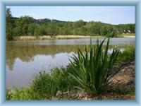 Koupaliště Sedmihorky