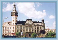 Radnice v Krnově