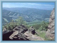 Pohled z Medvědího kamene na Rychlebské hory