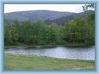 Koupaliště Nové Město pod Smrkem