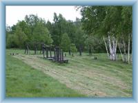 Koupaliště Nové Město pod Smrkem