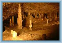 Sloupsko-šosůvské jeskyně - krápníková výzdoba