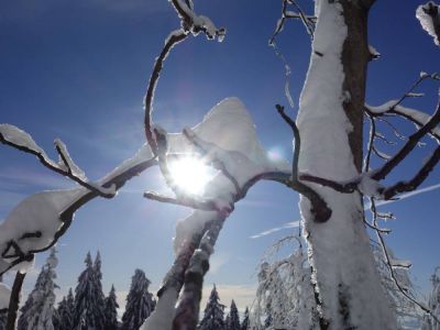 Penzion - Horská chata Světlá