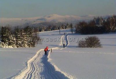 Apartmán Allseason v Hraběticích - Severák