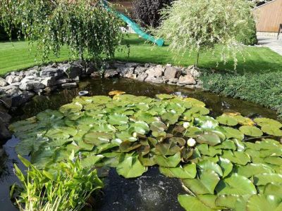 Apartmány Andělská