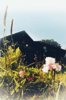 Anna v říční zátoce