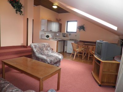 Penzion v Orlických horách