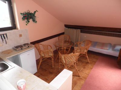 Penzion v Orlických horách