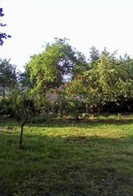 Apartmán Zlatá Koruna