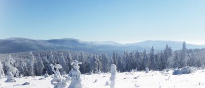 Apartmá Horní Lipová