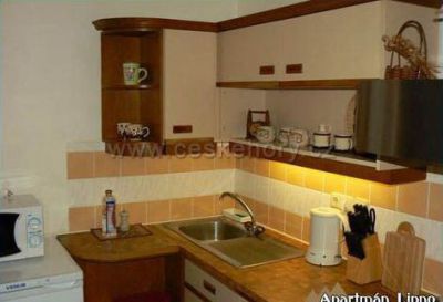 Apartmán Lipno