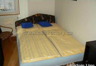 Apartmán Lipno
